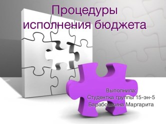 Процедуры исполнения бюджета