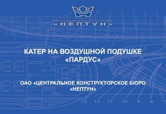 Катер на воздушной подушке Пардус