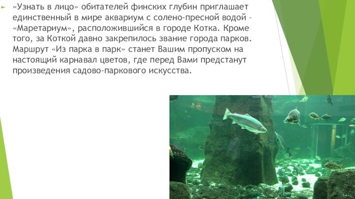 «Узнать в лицо» обитателей финских глубин приглашает единственный в мире аквариум с