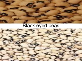 Black eyed peas