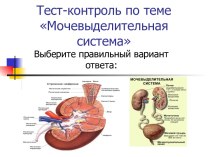 Мочевыделительная система (тест)