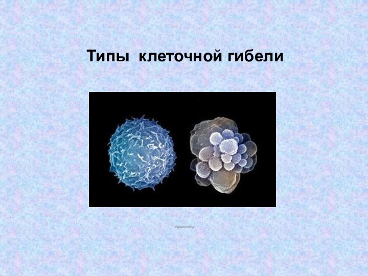 Типы клеточной гибелиМеханизмы