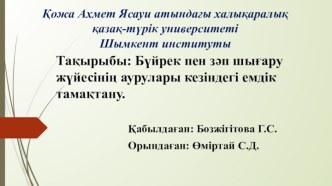 Бүйрек пен зәп шығару жүйесінің аурулары кезіндегі емдік тамақтану