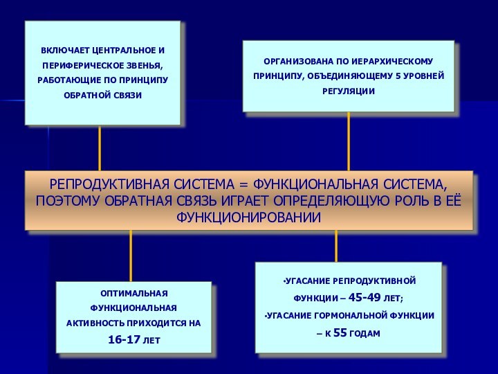 РЕПРОДУКТИВНАЯ СИСТЕМА = ФУНКЦИОНАЛЬНАЯ СИСТЕМА, ПОЭТОМУ ОБРАТНАЯ СВЯЗЬ ИГРАЕТ ОПРЕДЕЛЯЮЩУЮ РОЛЬ В