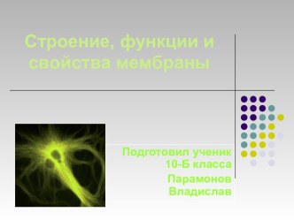 Строение, функции и свойства мембраны