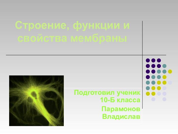 Подготовил ученик 10-Б классаПарамонов ВладиславСтроение, функции и свойства мембраны