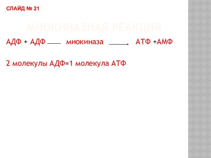 МИОКИНАЗНАЯ РЕАКЦИЯАДФ + АДФ     миокиназа