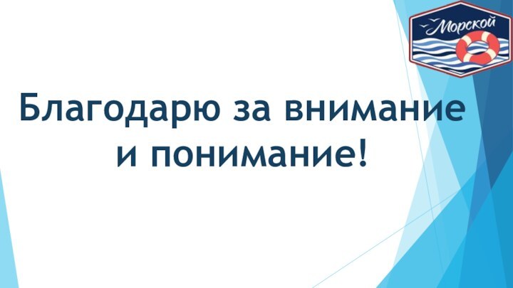 Благодарю за внимание и понимание!