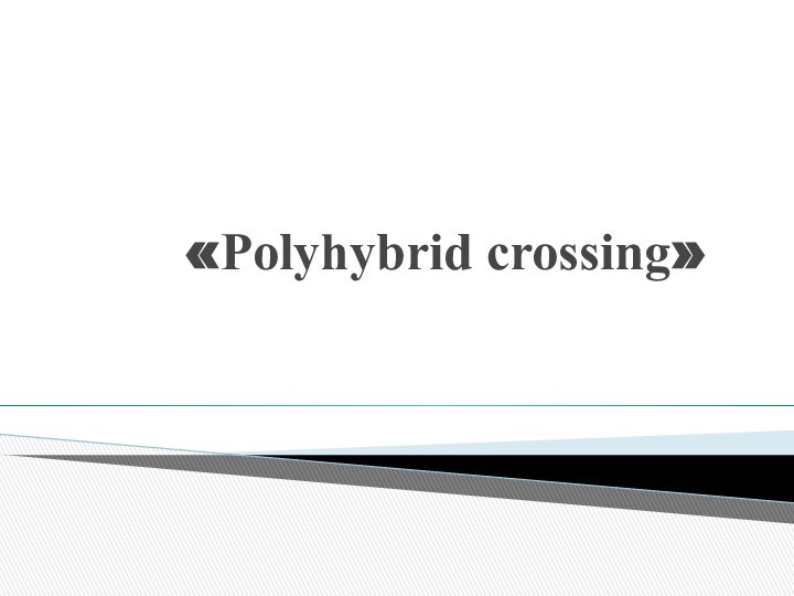 «Polyhybrid crossing»
