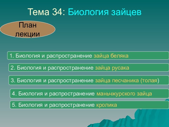 Тема 34: Биология зайцевПлан лекции1. Биология и распространение зайца беляка2. Биология и