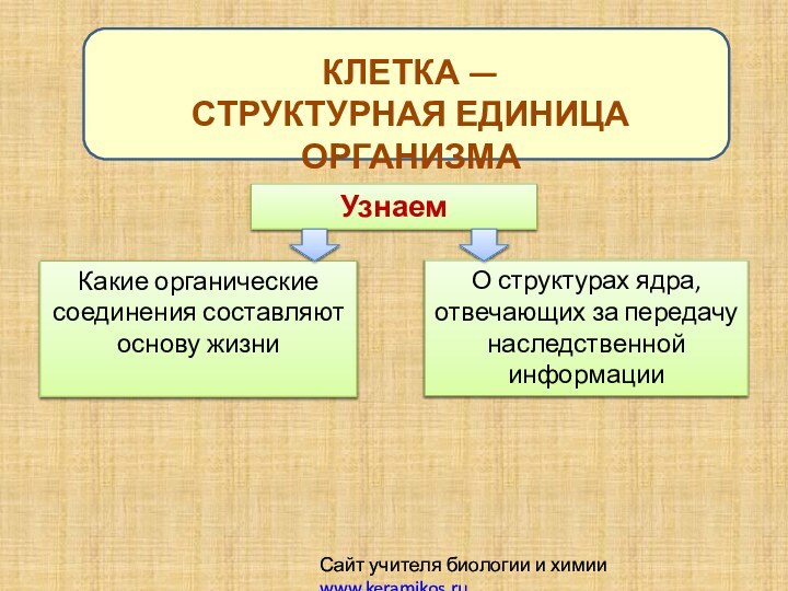 КЛЕТКА — СТРУКТУРНАЯ ЕДИНИЦА ОРГАНИЗМАСайт учителя биологии и химии www.keramikos.ru