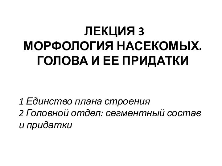 ЛЕКЦИЯ 3  МОРФОЛОГИЯ НАСЕКОМЫХ. ГОЛОВА И ЕЕ ПРИДАТКИ