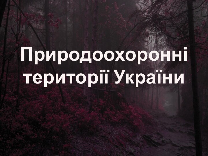 Природоохоронні території України