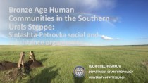 Bronze Age Human Communities in the Southern Urals Steppe: Sintashta-Petrovka social and subsistence organization