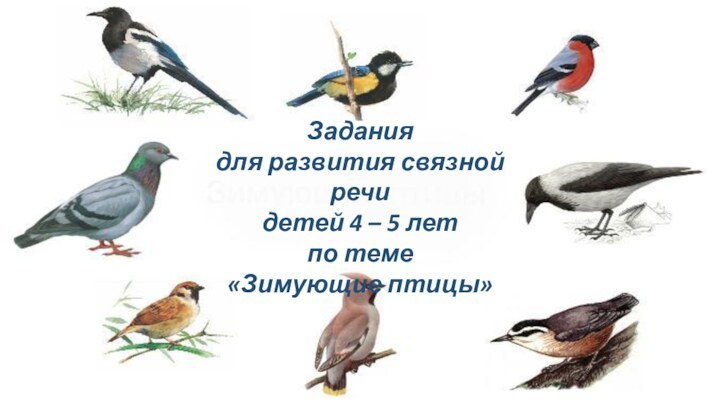 Задания для развития связной речи детей 4 – 5 лет по теме «Зимующие птицы»