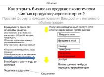 Шаблон. PDF-отчет. Как открыть бизнес на продаже экологически чистых продуктов,через интернет