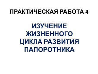 Изучение жизненного цикла развития папоротника