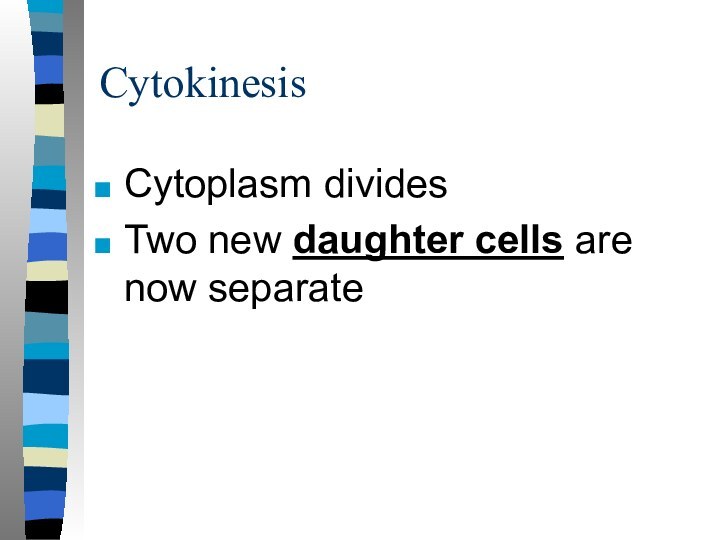 CytokinesisCytoplasm dividesTwo new daughter cells are now separate