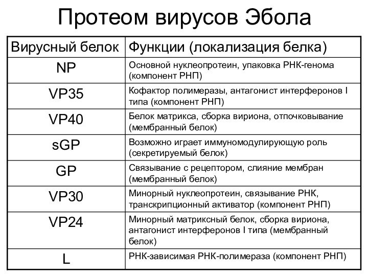 Протеом вирусов Эбола