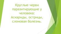 Круглые черви паразитирующие у человека: Аскариды, острицы, слоновая болезнь