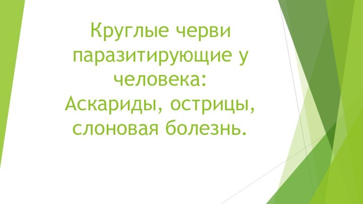 Круглые черви паразитирующие у человека: Аскариды, острицы, слоновая болезнь.