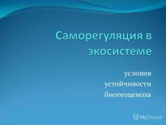 Саморегуляция в экосистеме. Условия устойчивости биогеоценоза