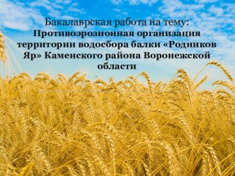 Противоэрозионная организация территории водосбора балки Родников Яр Каменского района Воронежской области