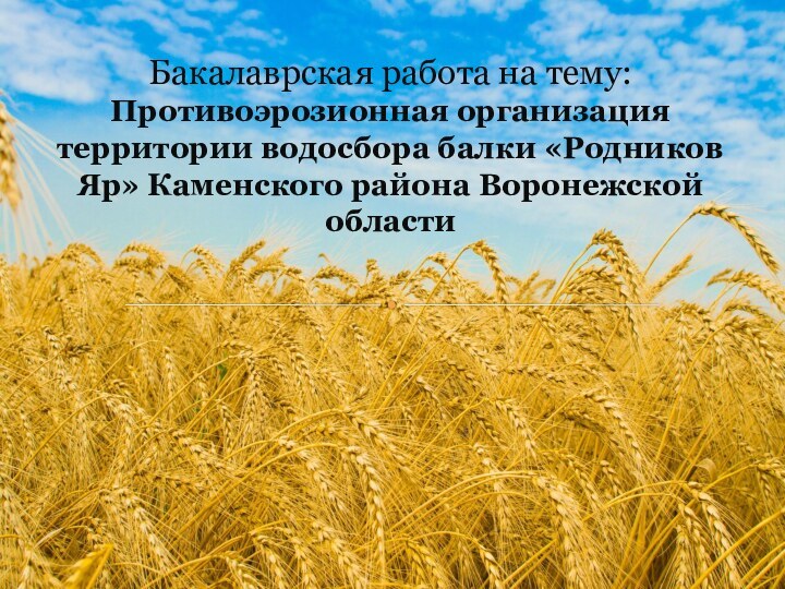 Бакалаврская работа на тему: Противоэрозионная организация территории водосбора балки «Родников Яр» Каменского района Воронежской области