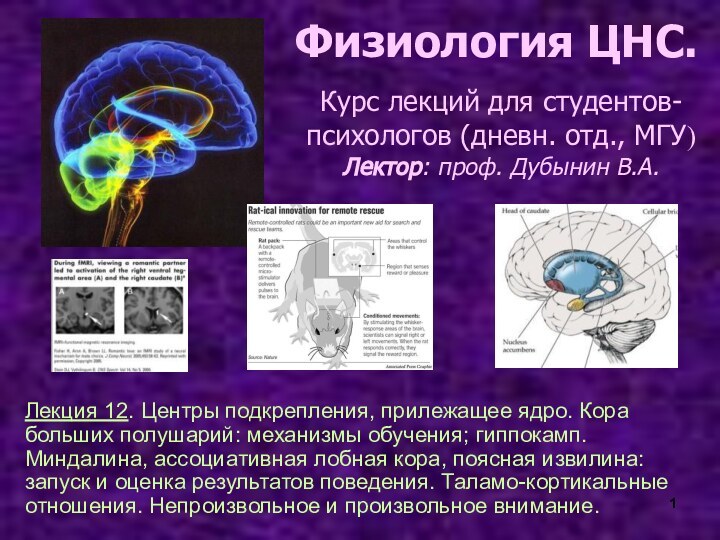 Физиология ЦНС.Курс лекций для студентов- психологов (дневн. отд., МГУ)  Лектор: проф.