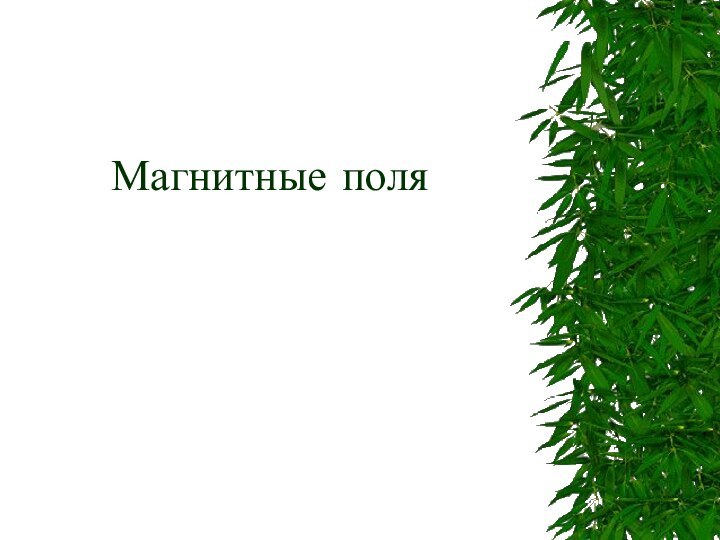 Магнитные поля