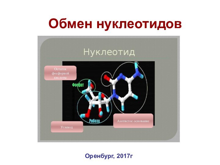 Обмен нуклеотидов Оренбург, 2017г