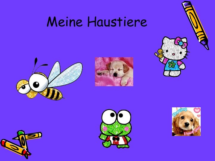 Meine Haustiere