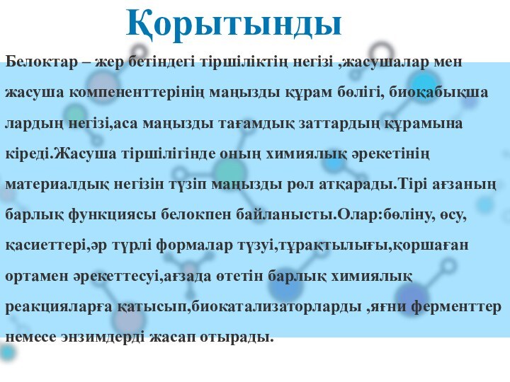 ҚорытындыБелоктар – жер бетіндегі тіршіліктің негізі