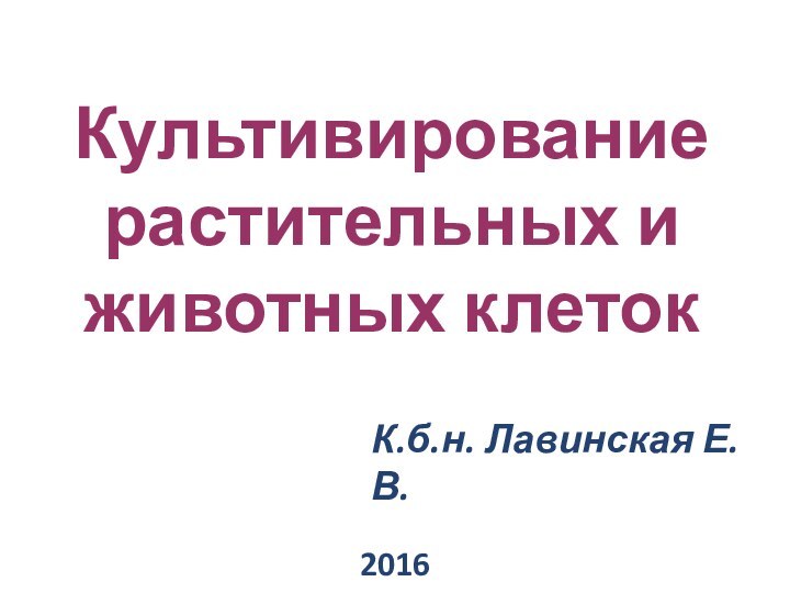 Культивирование растительных и животных клеток2016К.б.н. Лавинская Е. В.