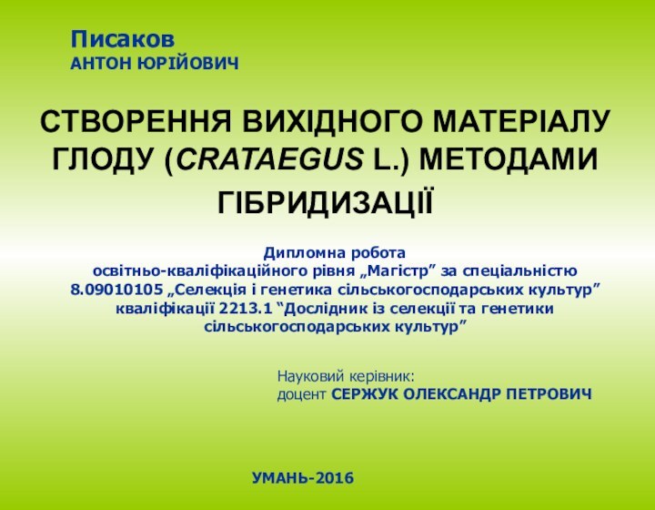 СТВОРЕННЯ ВИХІДНОГО МАТЕРІАЛУ ГЛОДУ (CRATAEGUS L.) МЕТОДАМИ ГІБРИДИЗАЦІЇ Дипломна роботаосвітньо-кваліфікаційного рівня „Магістр”