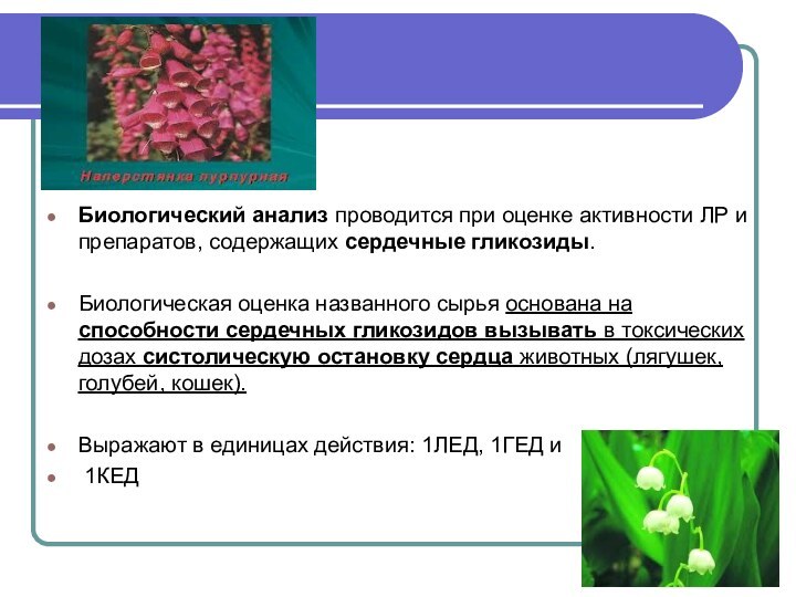 Биологический анализ проводится при оценке активности ЛР и препаратов, содержащих сердечные гликозиды.