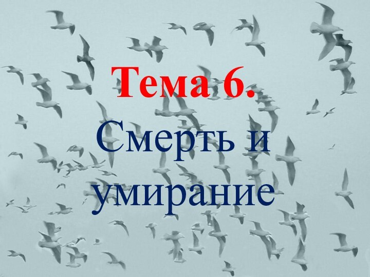 Тема 6. Смерть и умирание