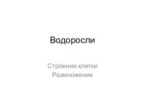 Водоросли. Строение клетки. Размножение