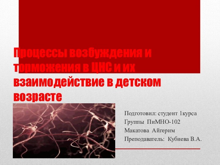 Процессы возбуждения и торможения в ЦНС и их взаимодействие в детском возрастеПодготовил: