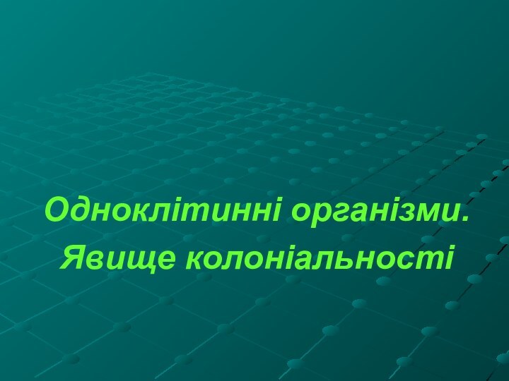 Одноклітинні організми. Явище колоніальності