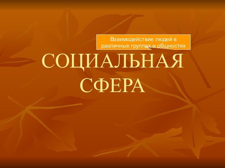 СОЦИАЛЬНАЯ СФЕРАВзаимодействие людей в различных группах и общностях