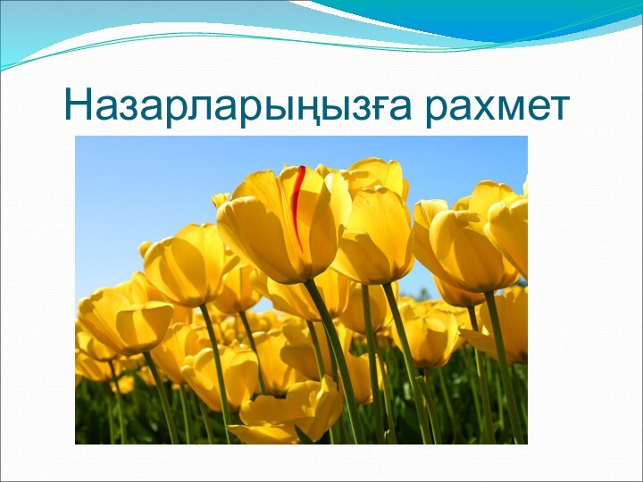 Назарларыңызға рахмет