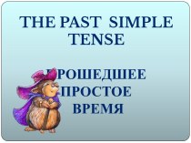 The past simple tense