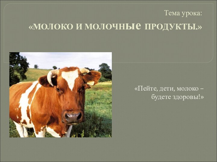 Тема урока: «МОЛОКО И МОЛОЧНые ПРОДУКТЫ.» «Пейте, дети, молоко – будете здоровы!»