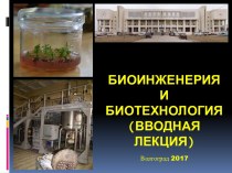 Биоинженерия и биотехнология (вводная лекция)