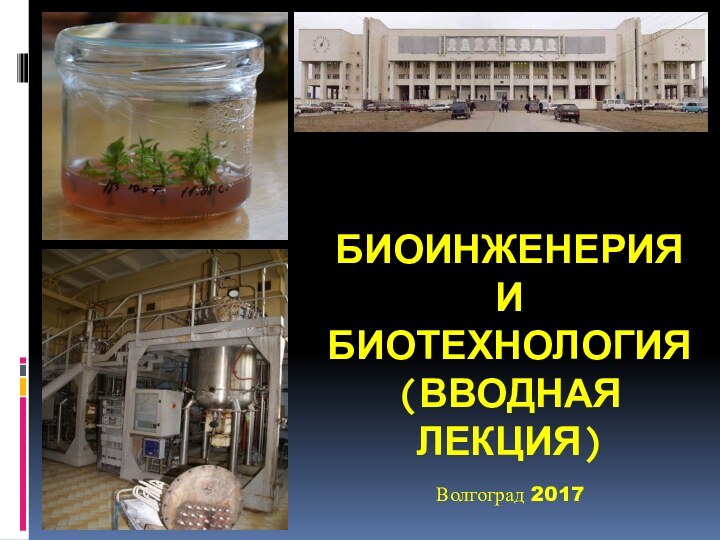 БИОИНЖЕНЕРИЯ И БИОТЕХНОЛОГИЯ (ВВОДНАЯ ЛЕКЦИЯ)Волгоград 2017