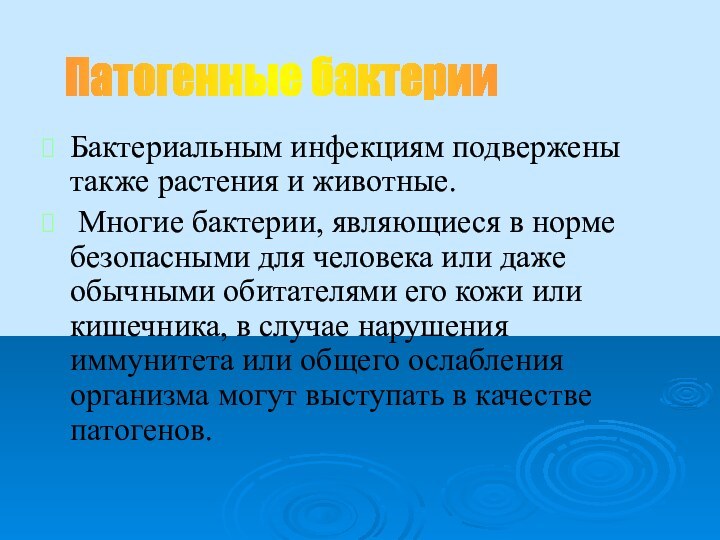 Бактериальным инфекциям подвержены также растения и животные. Многие бактерии, являющиеся в норме