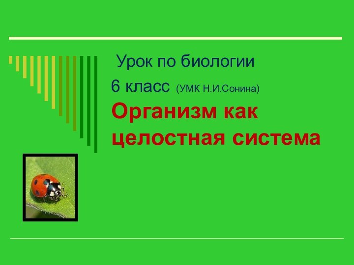    Урок по биологии  6 класс (УМК Н.И.Сонина) Организм как целостная