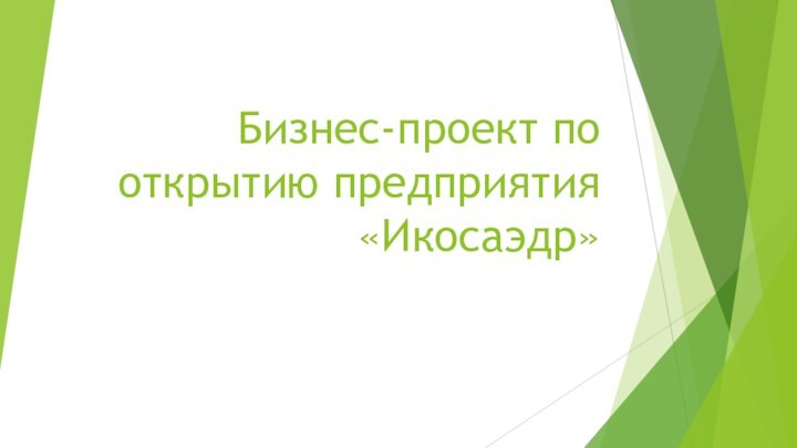 Бизнес-проект по открытию предприятия «Икосаэдр»