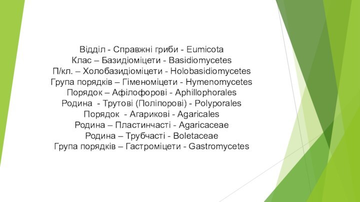 Відділ - Справжні гриби - Eumicota Клас – Базидіоміцети - Basidiomycetes П/кл.